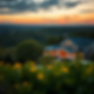 Magnificent Arbor View in Ellington: A Comprehensive Guide to Real Estate Opportunities