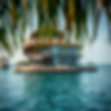 Magnificent Exploring Siniyah Island: A Comprehensive Guide Magnificent Exploring Siniyah Island: A Comprehensive Guide