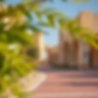 Magnificent The Ajman Al Jurf Area: A Comprehensive Exploration