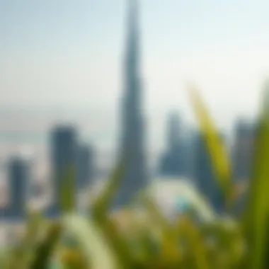 Magnificent The Financial Footprint of the Burj Khalifa: An In-Depth Analysis Magnificent The Financial Footprint of the Burj Khalifa: An In-Depth Analysis