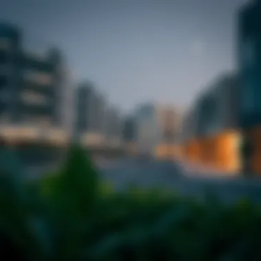 A Comprehensive Look at Al Shuaibah, Al Ain: Insights for Real Estate Investors Summary A Comprehensive Look at Al Shuaibah, Al Ain: Insights for Real Estate Investors Summary