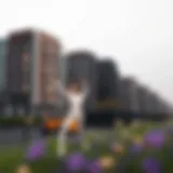 An In-Depth Examination of Current Project Status in Dubai's Real Estate Landscape Introduction