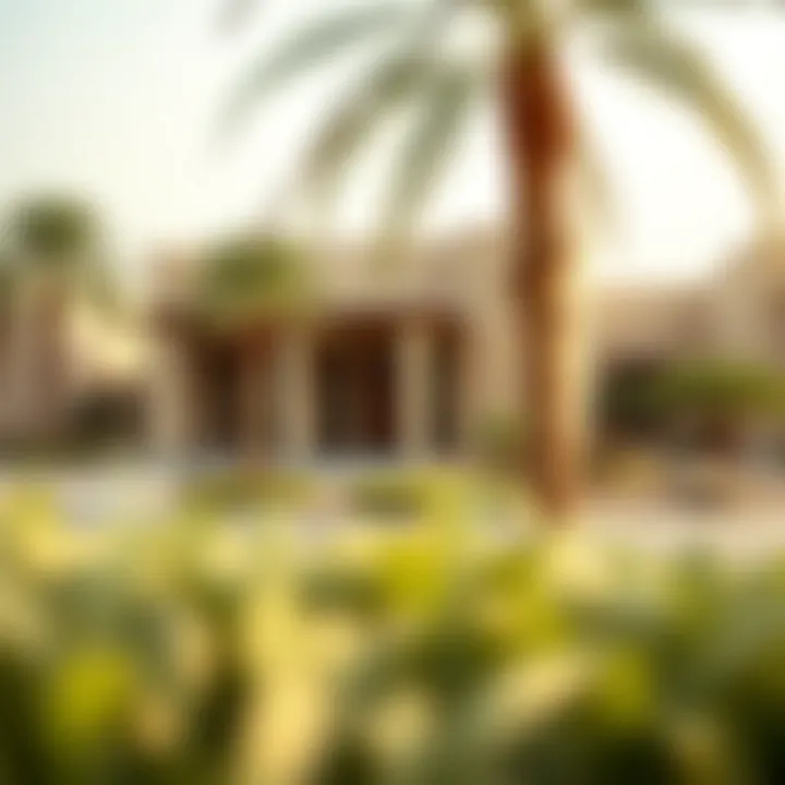 Notable An In-Depth Exploration of Al Wasl Village in Al Qusais