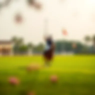 An In-Depth Look at Al Habtoor Polo Club Summary