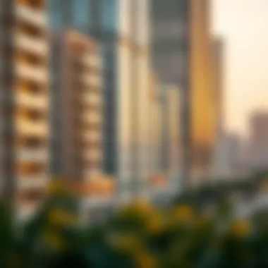 Overview of Dubai's Real Estate Market Real estate market in Dubai