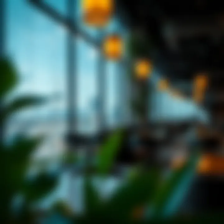 Best Coffee Shops in Dubai with a View Summary