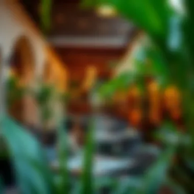 Charming Outdoor Dining Experience at City Walk A beautifully designed outdoor dining area filled with lush greenery and stylish decor