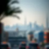 Overview of Dubai's skyline with educational institutions