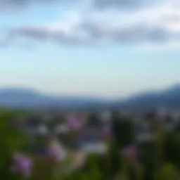 Comprehensive Guide to Finding Studios for Rent Near You Introduction