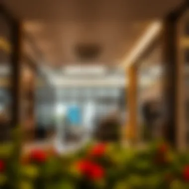 Chic Retail Environment at Damac Hills Mall Interior design of a retail space within Damac Hills Mall
