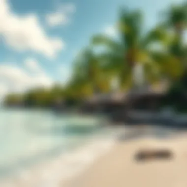 A serene tropical beach with crystal clear waters
