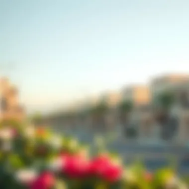 Modern Residential Neighborhoods in Al Khawaneej Modern residential neighborhoods in Al Khawaneej
