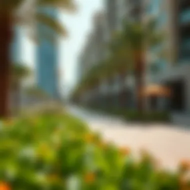 Local Amenities Near Amna Tower Amenities and surroundings of Al Habtoor City
