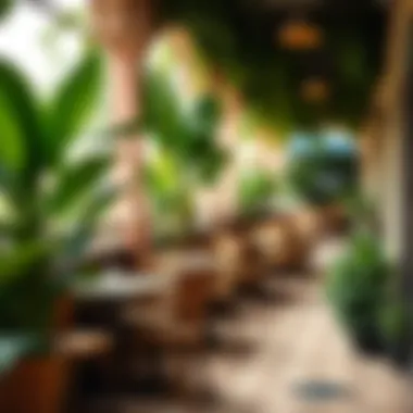Outdoor Seating in a Lush Café Setting A vibrant outdoor seating area filled with greenery