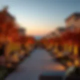 Exploring Community Dynamics During Autumn Seasons in Dubai: A Focus on JVC Introduction