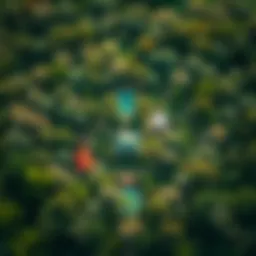 Stunning aerial view of Ketura Reserve showcasing lush greenery