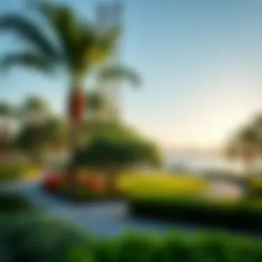 Green Spaces Around Lake Dubai Lush green parks and walking paths surrounding Lake Dubai