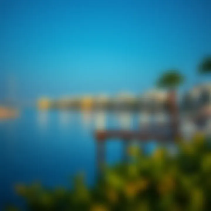 Luxurious waterfront properties along Lake Dubai