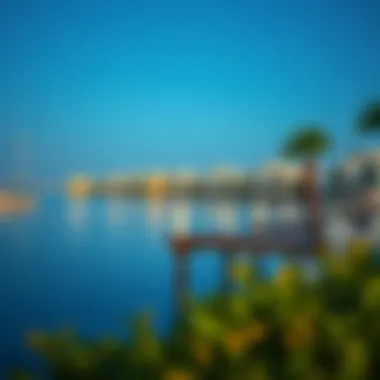 Waterfront Properties at Lake Dubai Luxurious waterfront properties along Lake Dubai