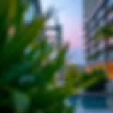 Exploring Plaza La Mer: A Comprehensive Guide for Investors and Residents Introduction