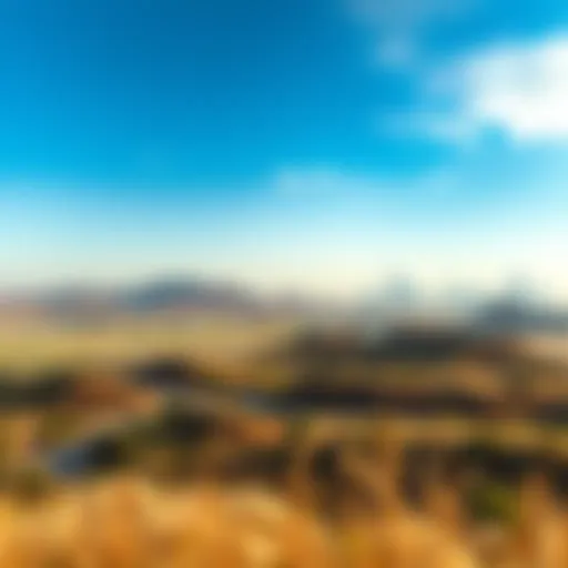 Breathtaking view of Ramlat Zakher showcasing natural landscapes and urban skyline