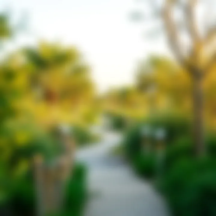 Walking trails meandering through Wasl Green Park with lush foliage