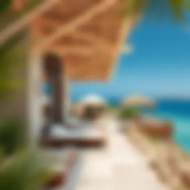 Notable Exploring Siniyah Island: A Comprehensive Guide Notable Exploring Siniyah Island: A Comprehensive Guide