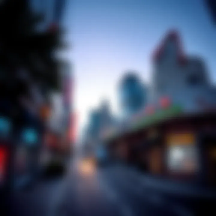 Vibrant commercial district in TECOM