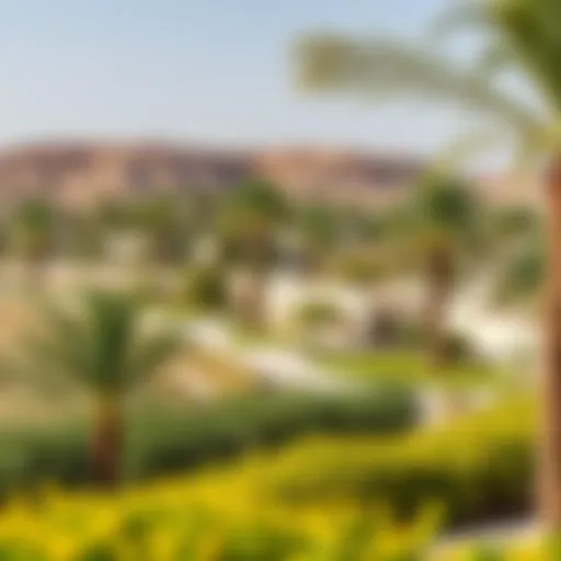 A scenic view of Al Ain Oasis showcasing the lush greenery and palm trees