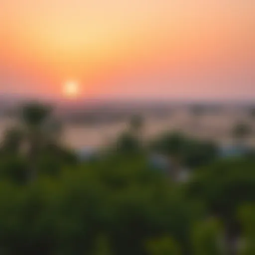 Stunning sunset over the Sharjah Desert Park showcasing its vast landscape