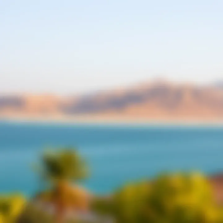 Geographical features of Ras Al Khor