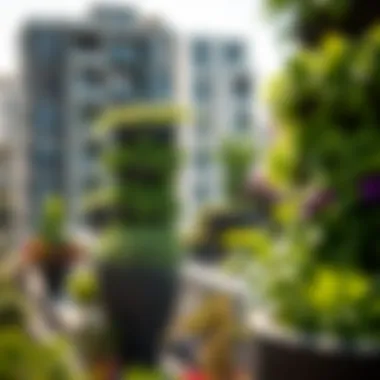Exploring Vertical Gardening: Techniques and Implications Summary Exploring Vertical Gardening: Techniques and Implications Summary