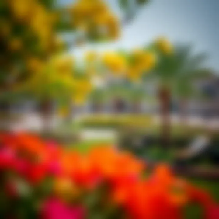 Vibrant community park in Westzone Al Mina