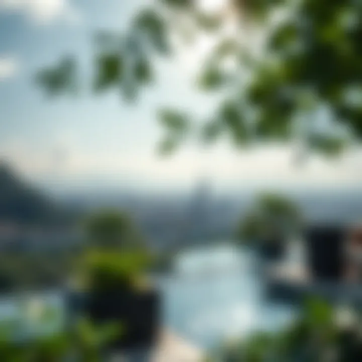 Notable Green Visa Requirements: A Comprehensive Overview