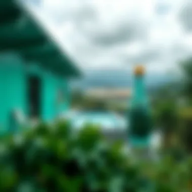 Green Visa Requirements: A Comprehensive Overview Summary