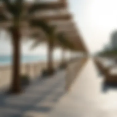 Accessibility Features of Jebel Ali Beach Accessibility options leading to the beach