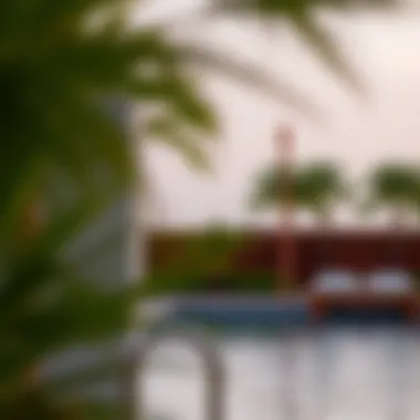 Amenities and recreational spaces in مجمع عوافي