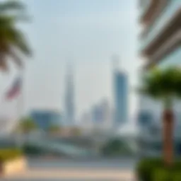 Navigating My Visa Status in the UAE: Insights and Implications Introduction