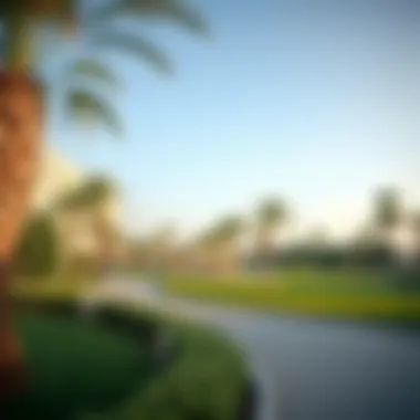 A serene community park in Rawdat Nadd Al Hamar with greenery and recreational facilities