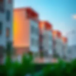 Government housing in Dubai with architectural elegance