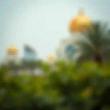 Comprehensive Guide to UAE Visa Applications Visa Application Guide