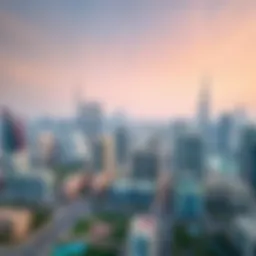 Dubai skyline showcasing real estate diversity
