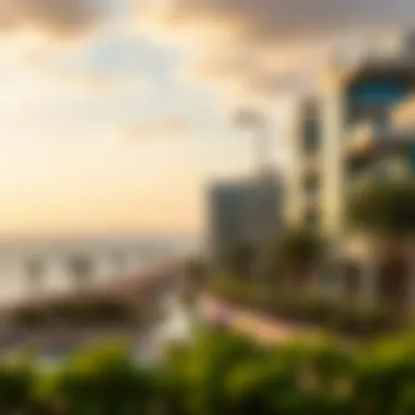 Notable Understanding the Palm Strip: A Comprehensive Overview